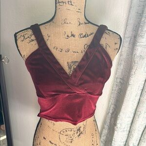 Velvet Burgundy Crop Top